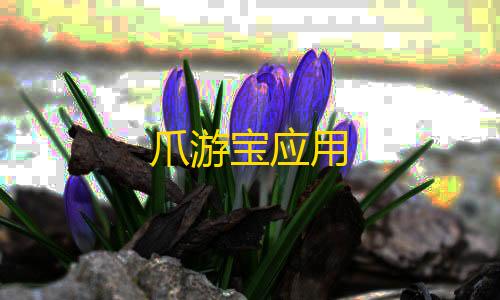 挂+锁头+透视+锁血爪游宝应用